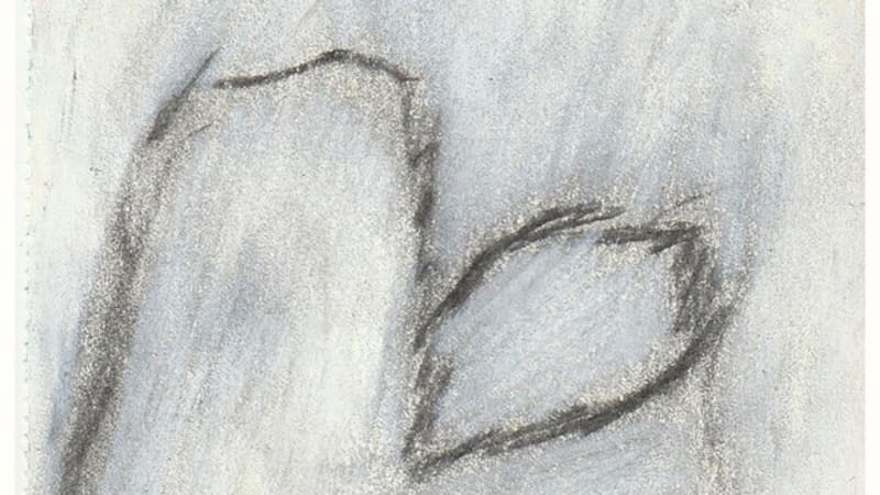 figure eight are back with new song ‘hummingbird’.