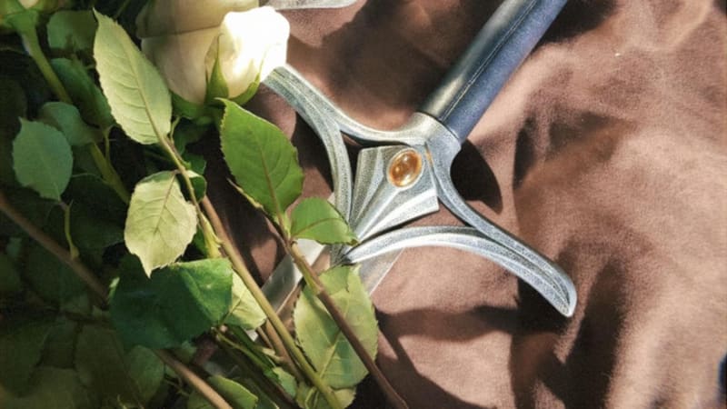 Sungaze return with new track ‘Be a Better Man’.