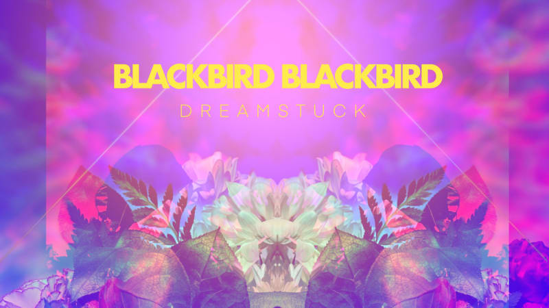 REVIEW: BLACKBIRD BLACKBIRD – D R E A M S T U C K