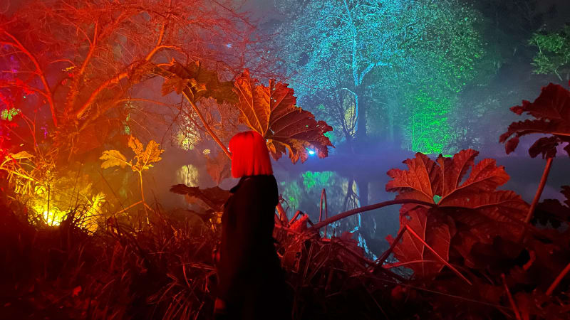 “Up To The Old Tricks” — Psychedelic Noir Duo West Wickhams Share “Sakura” EP — Post-Punk.com