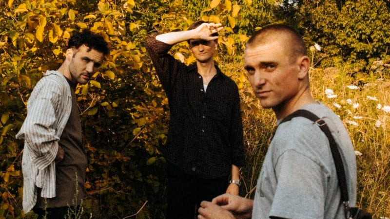 Cola – “Hedgesitting”