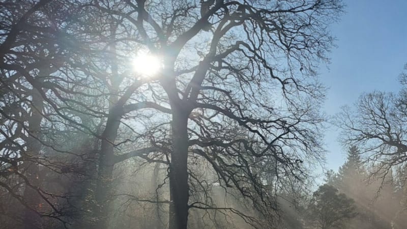 Single: DeepSonics – Believe in You