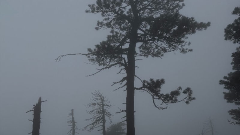 Single: Beach Vacation – Quietly Drowning