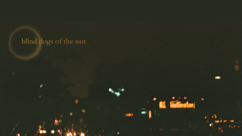 Album: Blind Dogs Of The Sun – This City Never Sleeps