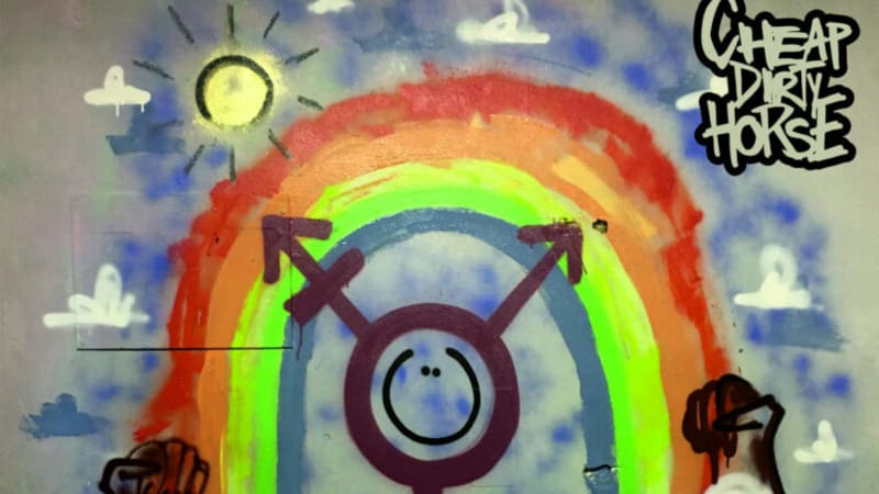 Video: Cheap Dirty Horse – P.R.O.T.E.C.T T.R.A.N.S K.I.D.S.
