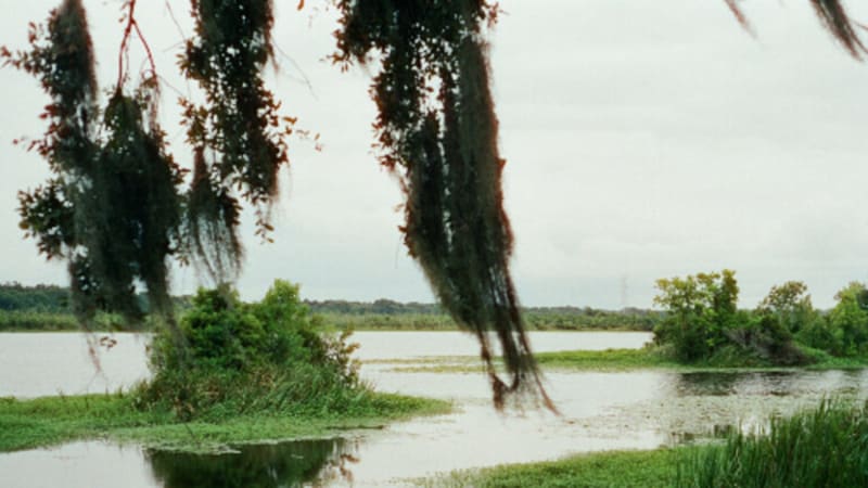 Single: Sasha & the Bear – Air