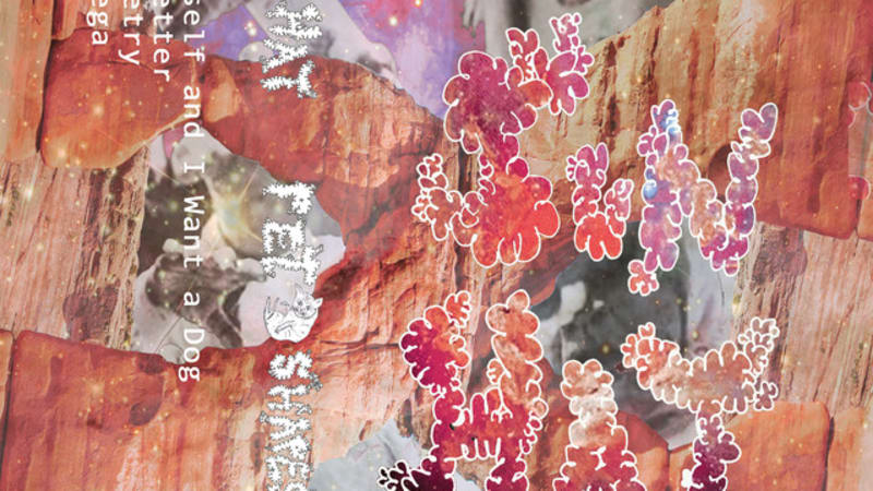 Album: Sun Hat – Pet Shapes