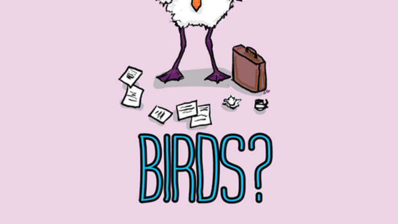 Single: Birds? – Over It