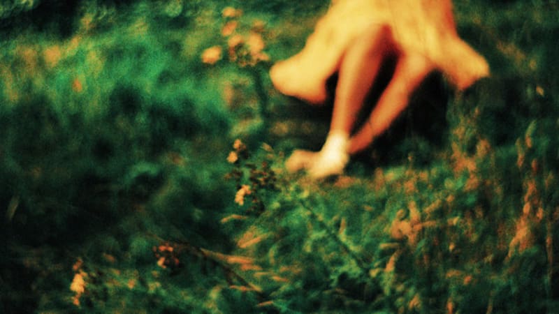 Single: Creepy Crawly – Buttercup