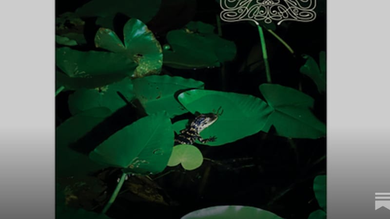 Crespi Drum Syndicate – Colada Talk