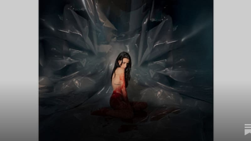 Noémi Büchi – Exuvie