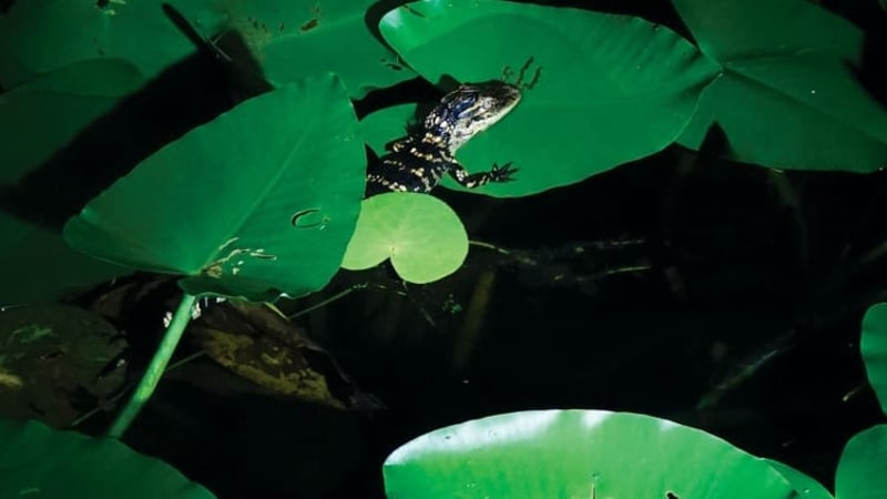 7 new dance albums we can’t wait to hear in the club