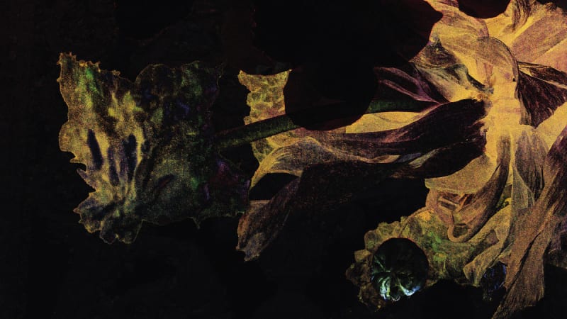 DEN DER HALE to Release ‘Larking About’ March 27