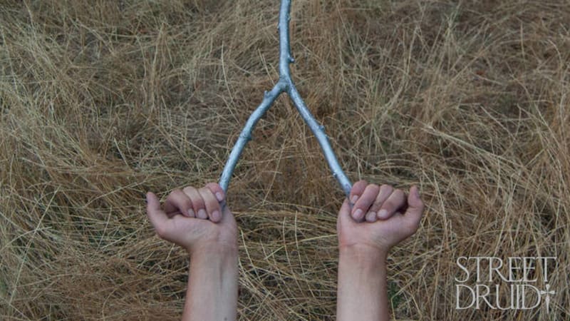 Ben Vince – Street Druid | The Quietus