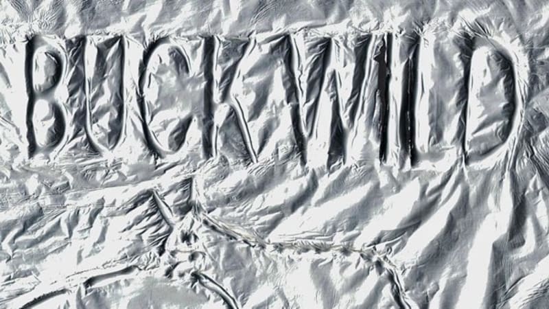 Karshni – Buck Wild | The Quietus