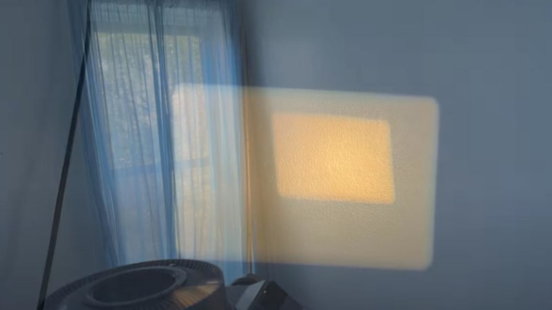 Joanne Robertson + Oliver Coates – Always Were