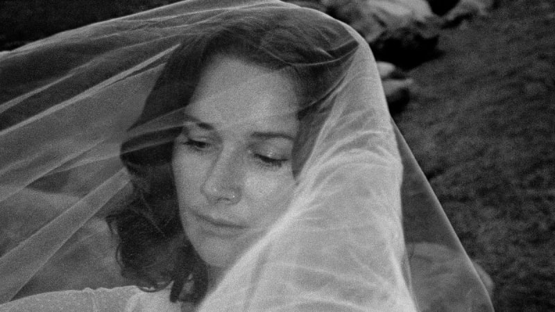 Georgia Gets By – Faded Rose