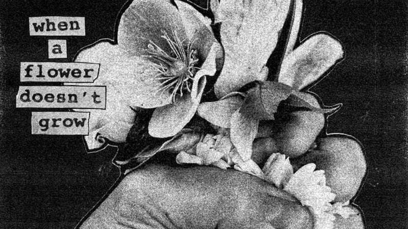 When A Flower Doesn’t Grow by Softcult