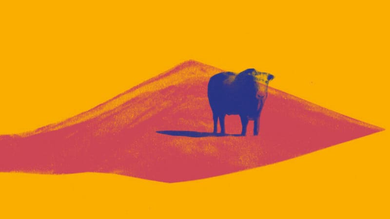 New Music: Club 8 – Travel Back In Time | AnalogueTrash