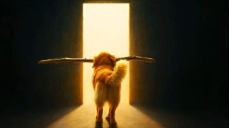 EP Review: PHI-108 – Conditions of Re-Entry | AnalogueTrash