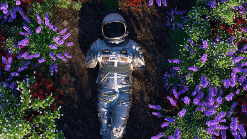 Album Review: Shayan Regan – Zero Hour: Genesis | AnalogueTrash