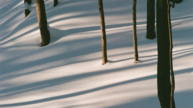 Isabel Pine – Fables (★★★★): Prachtige winterse landschappen