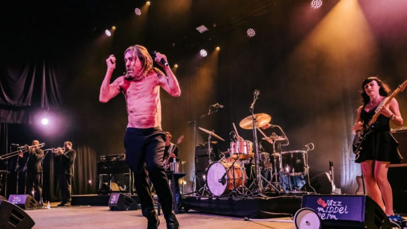 Nieuwe single Noveller - “The Girl Who Was Death” (feat. Iggy Pop)