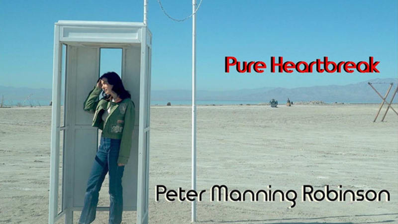 PETER MANNING ROBINSON | singolo | DISTOPIC.IT