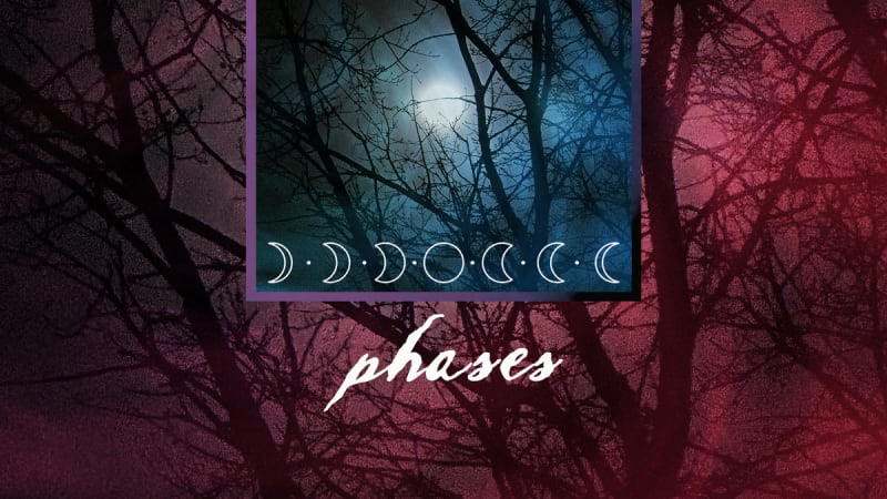 Observer: Feyleux & Body System | I Die: You Die