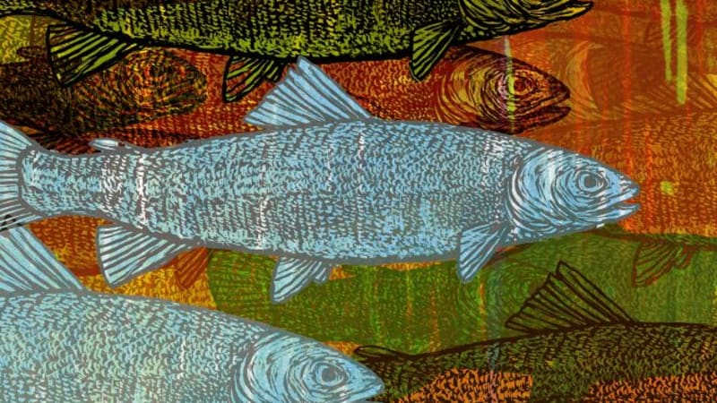 Quinn Collins, l’orfèvre sonore qui façonne “Precious and Intelligent Metal”