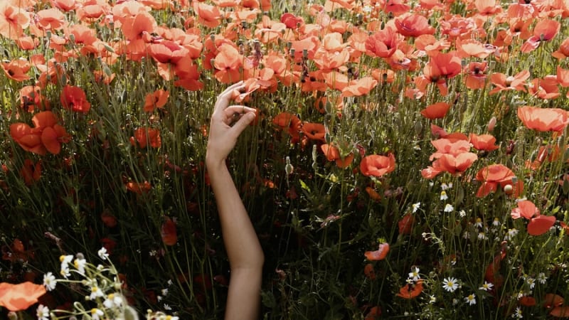 They Return To Their Earth! A photographic project by Federico Masini - KALTBLUT Magazine