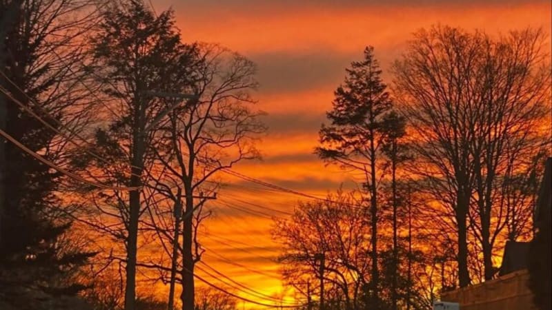 Cliff Root – Summer Sands