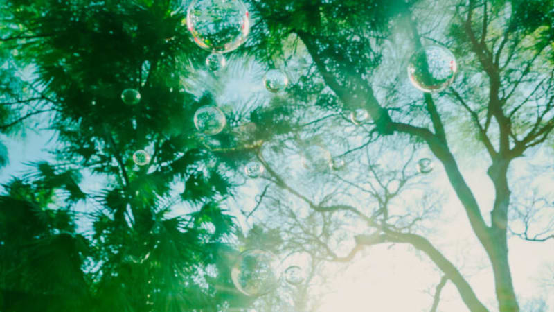 Paper Sister – Dreamy