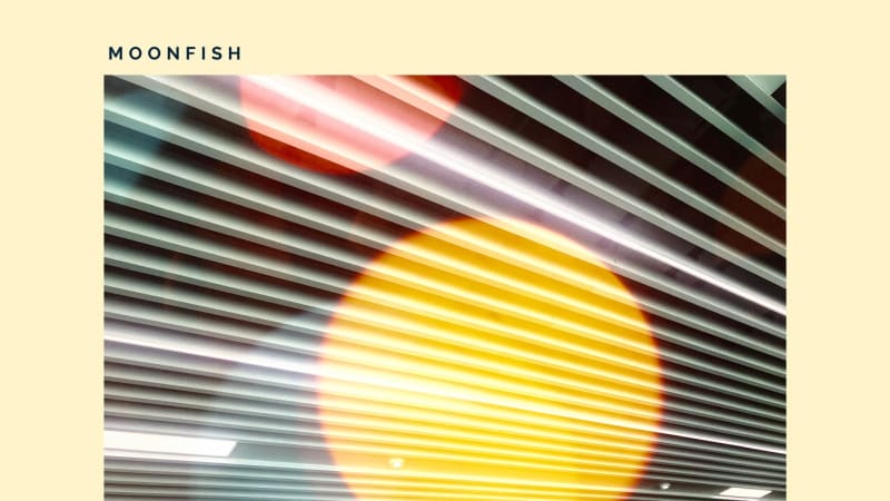 Exclusive Premiere: Moonfish “Mahi Mahi”
