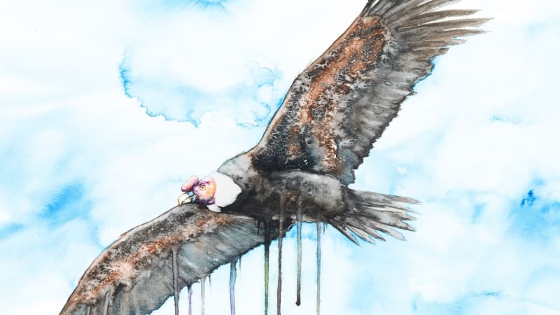 Exclusive Premiere: Dolenz feat. Steve Spacek “Kuntur”