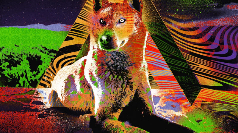 Exclusive Premiere: Edrix Puzzle “Eris Fall” | Music Is My Sanctuary