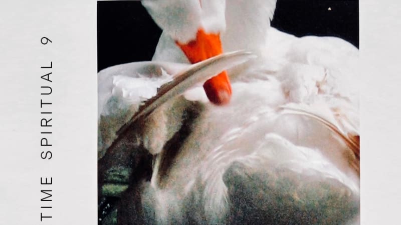 SPRINGTIME SPIRITUAL Mix Vol. 9 (2022) — Hand-picked by Lexis