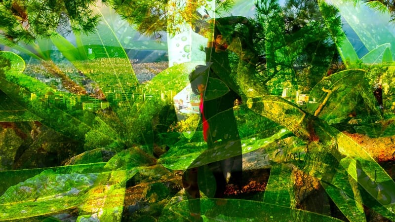 Exclusive Premiere: Agile Experiments “if you believe”