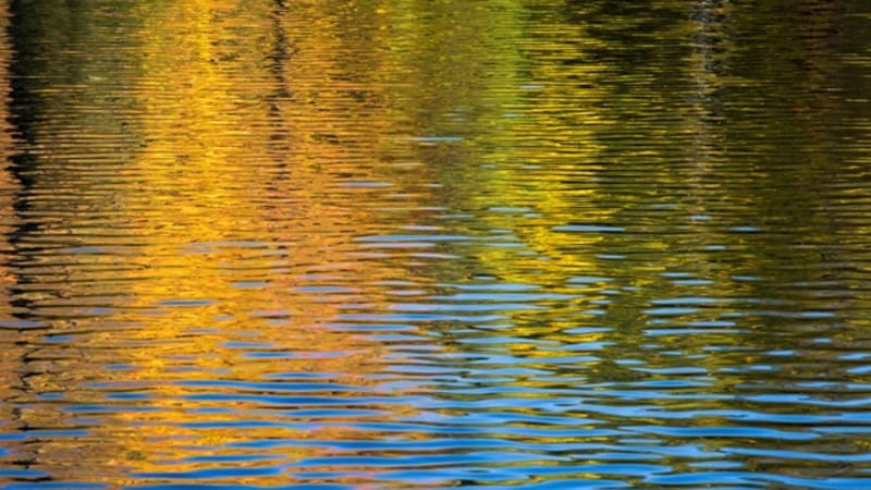 Listen: Pat Piperni - “Quiet Storm” -- Obscure Sound