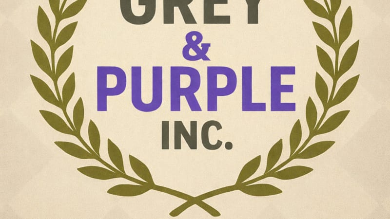 Grey & Purple Songbook – Lessons Learned, Vision Clear