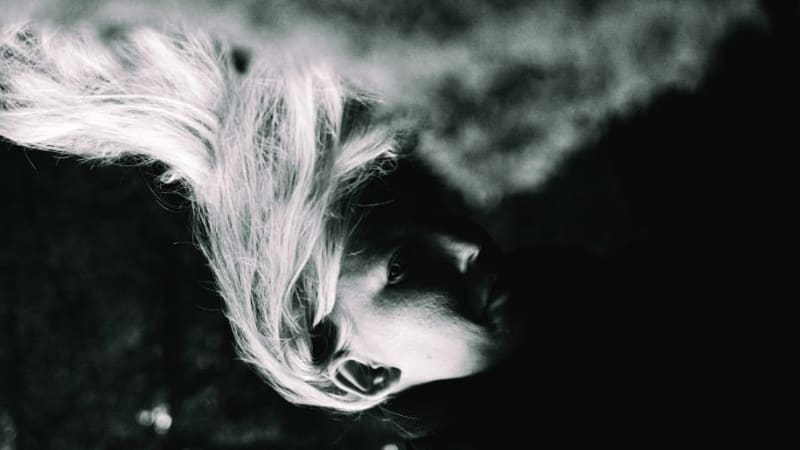 Nearly Broken, Nearly Beautiful — Fågelle's ‘Bränn min jord’