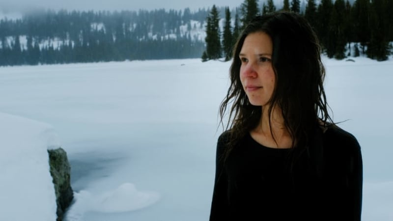 In Dialogue with the Forest — Isabel Pine's ‘Fables’