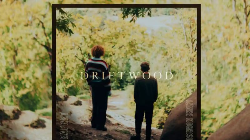Seafret and James Morrison - Driftwood [Single]