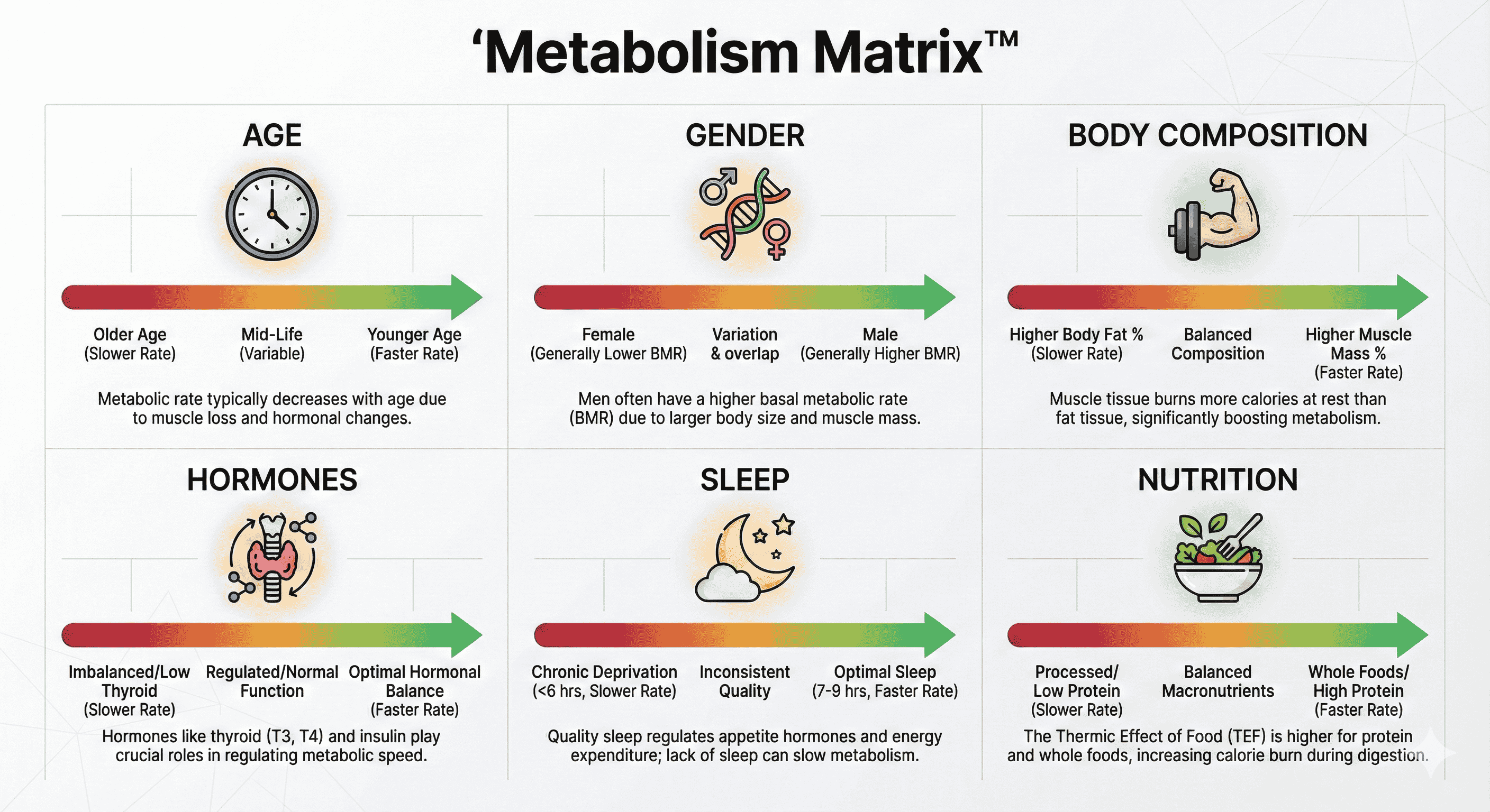 metabolism-matrix-factors-chart