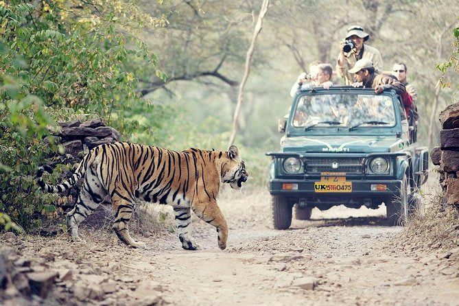 Rajaji National Park (Chilla Gate)