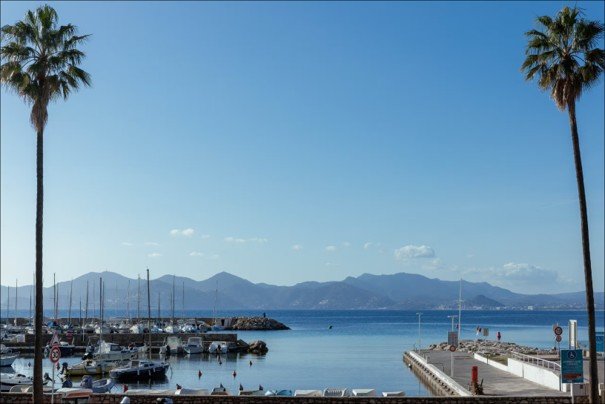 Cannes Croisette Palm Beach - 1BR large terrace with panoramic Sea View