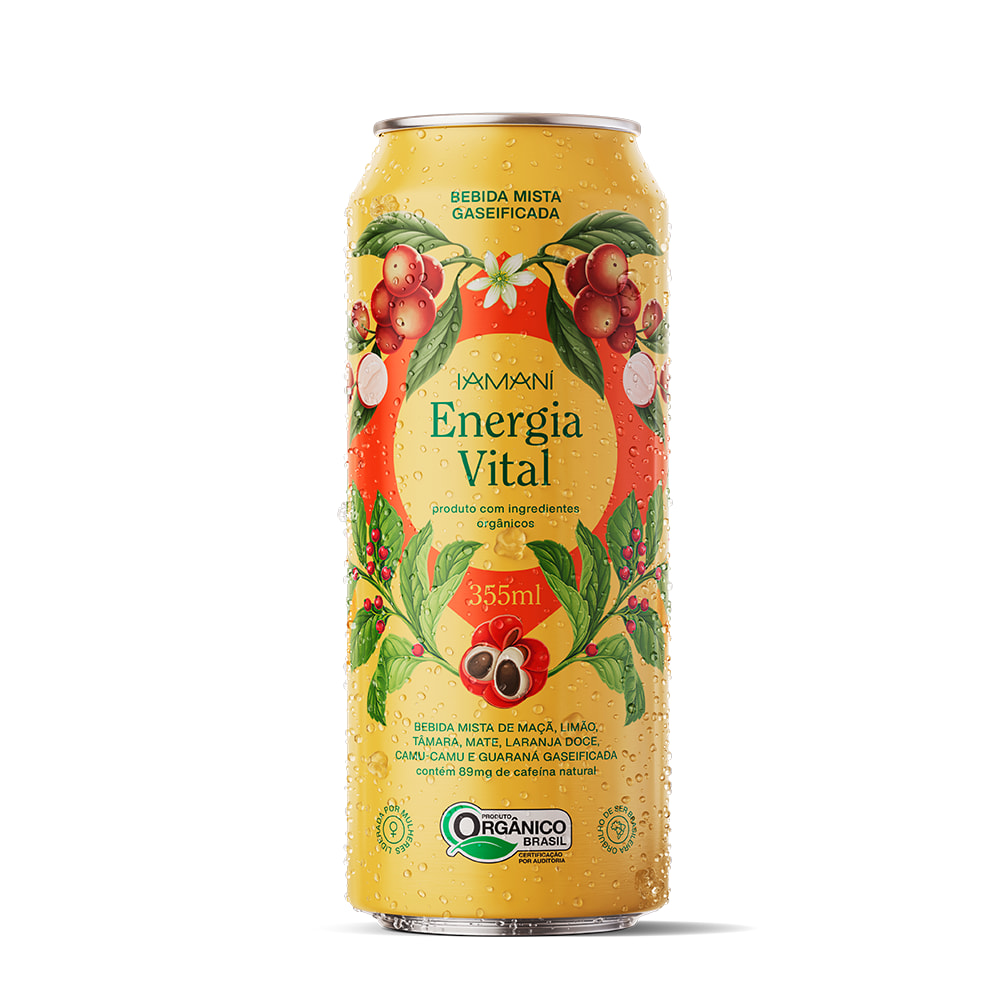 Chá Gaseificado Energia Vital
