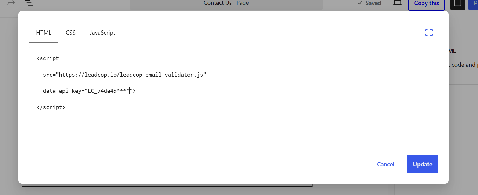 snippet into site footer