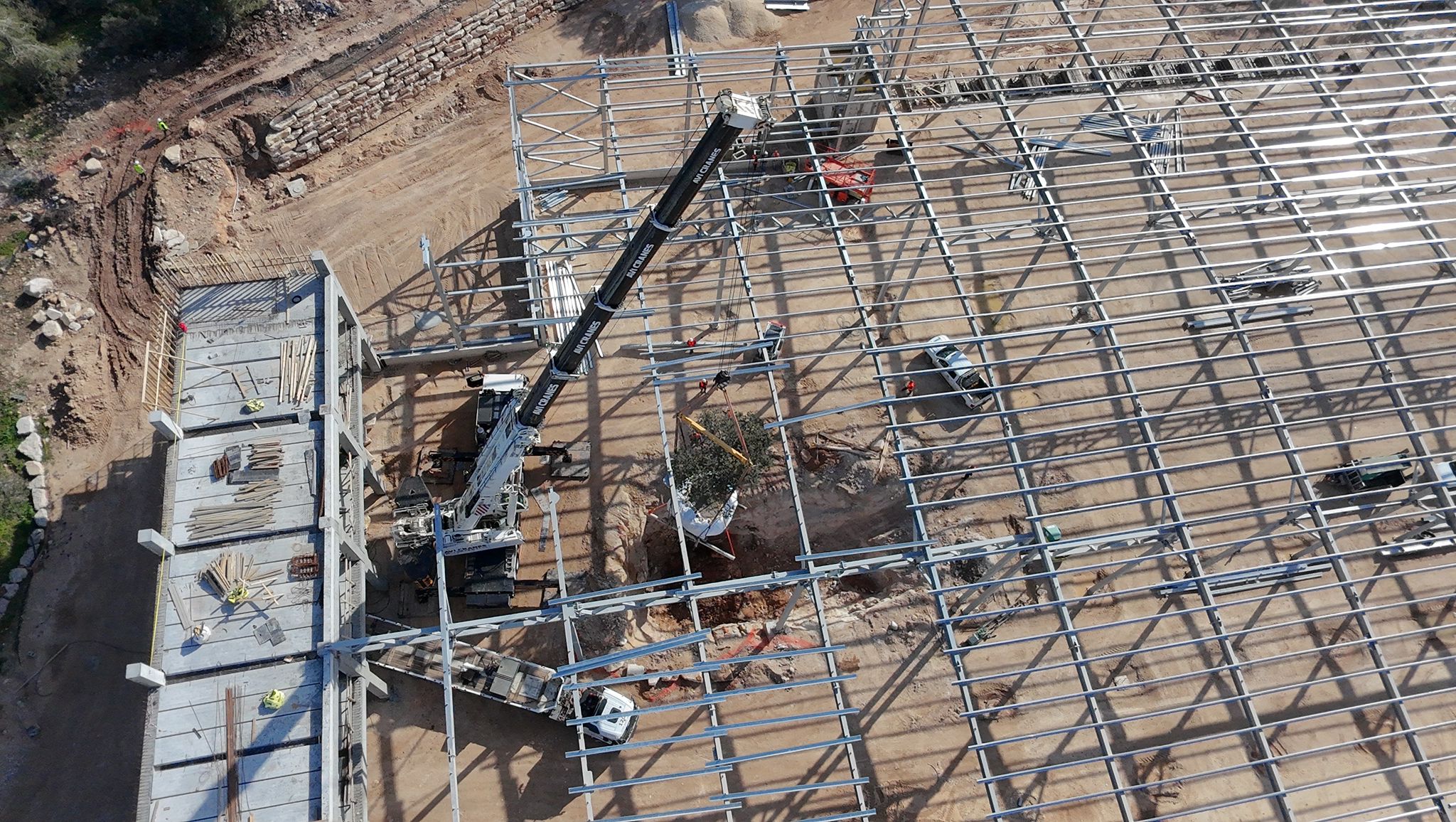 העתקת אלון דרך גג