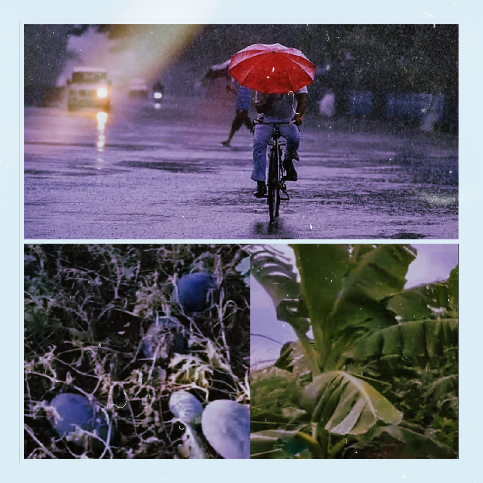 विजांच्या कडकडाटासह सोसाट्याचा वारा; १८ ते २० मार्च दरम्यान पावसाची तीव्रता वाढणार.